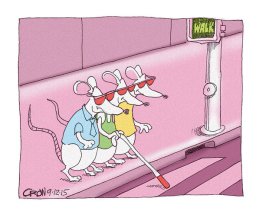 blind mice