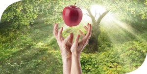 garden-of-eden-first-sin