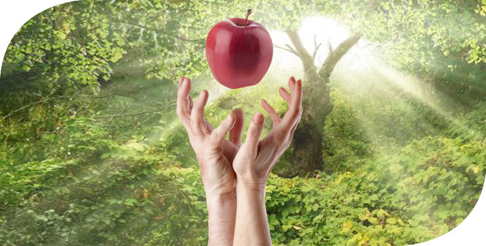 garden-of-eden-first-sin