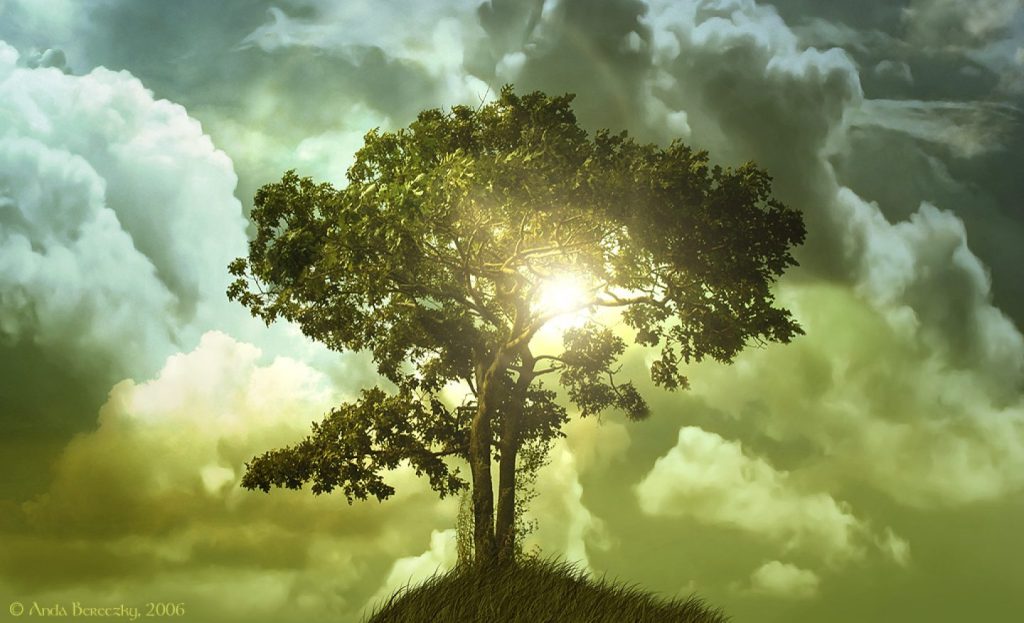 This isn’t Eden: When Life Closes&nbsp;Down